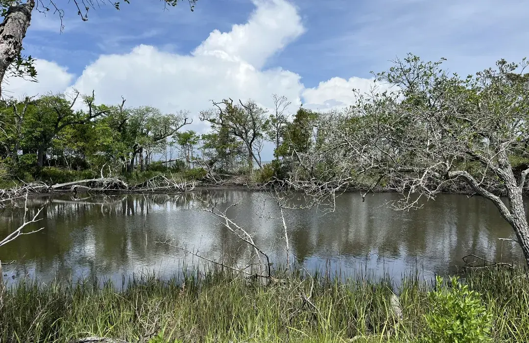 Theodore Roosevelt Natural Area